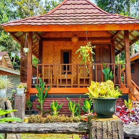 Pondok Rinjani Bungalow テテバトゥ エクステリア 写真