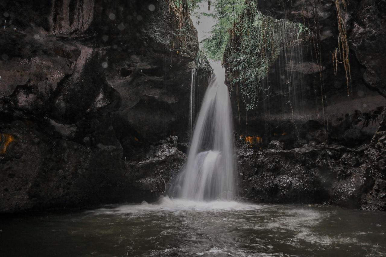 Pondok Rinjani Bungalow テテバトゥ エクステリア 写真