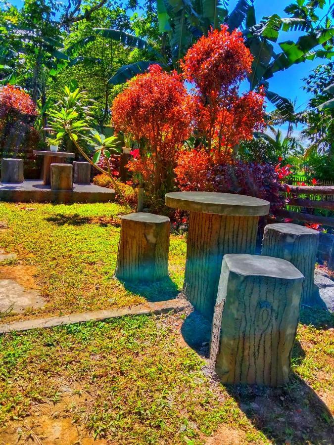 Pondok Rinjani Bungalow テテバトゥ エクステリア 写真