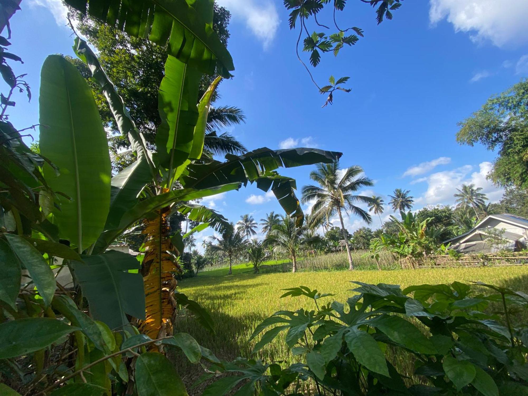 Pondok Rinjani Bungalow テテバトゥ エクステリア 写真